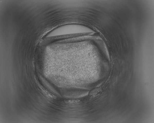 X0000060280345200511241527