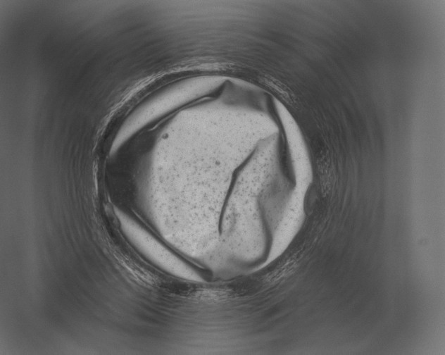 X0000060280350200511241527