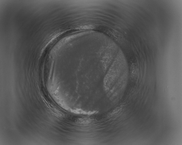 X0000060280351200511241527
