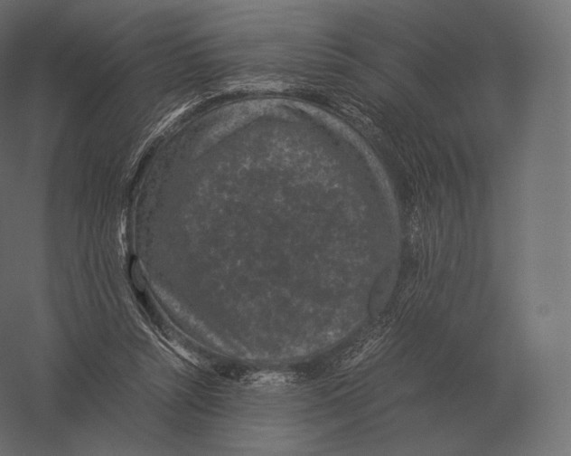 X0000060280352200511241527