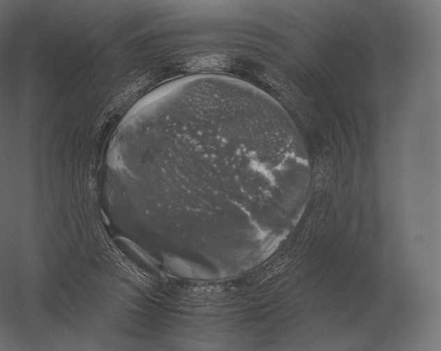 X0000060280353200511241527