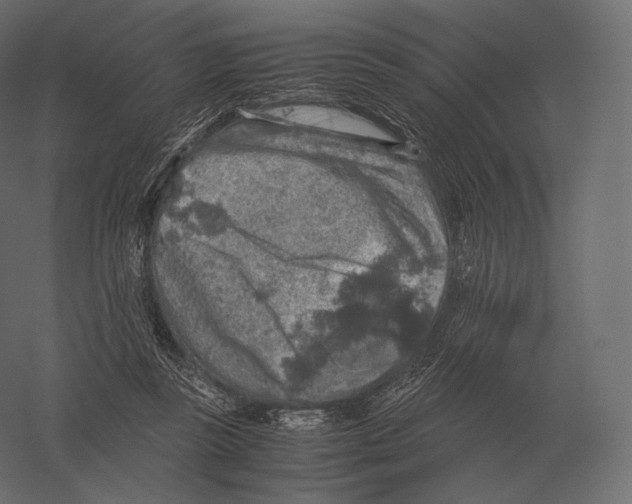 X0000060280355200511241527