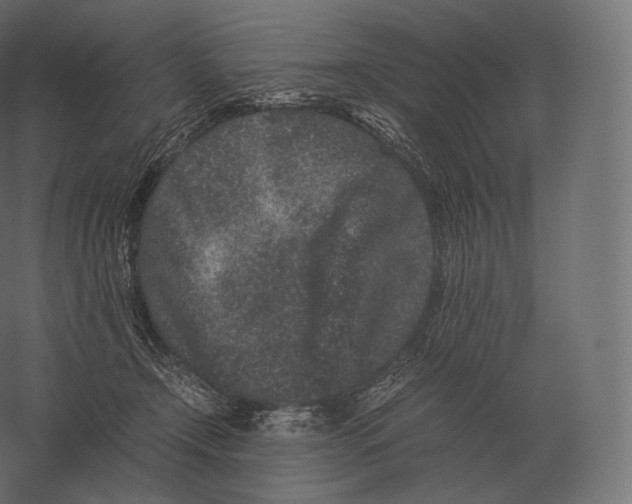 X0000060280366200511241528
