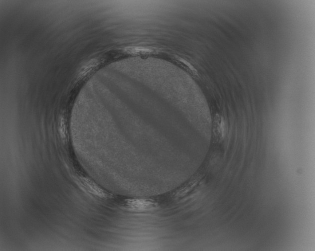 X0000060280380200511241528