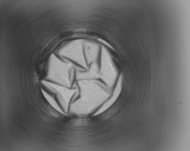 X0000060280384200511241528