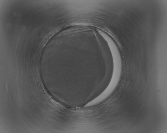 X0000060280385200511241527