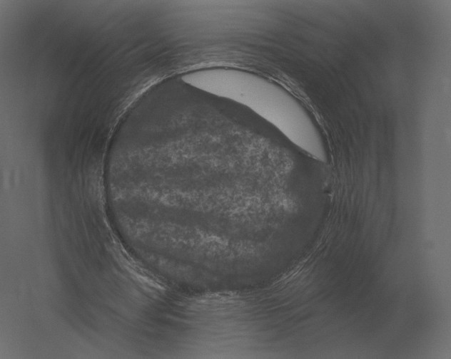 X0000060280386200511241527