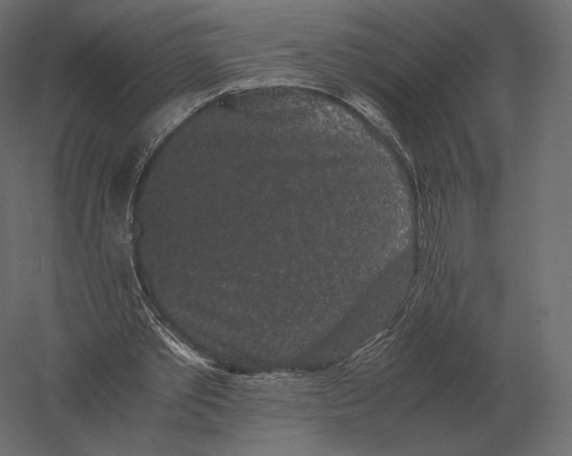 X0000060280389200511241527