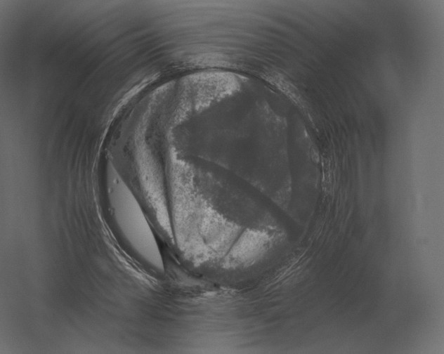 X0000060280390200511241527