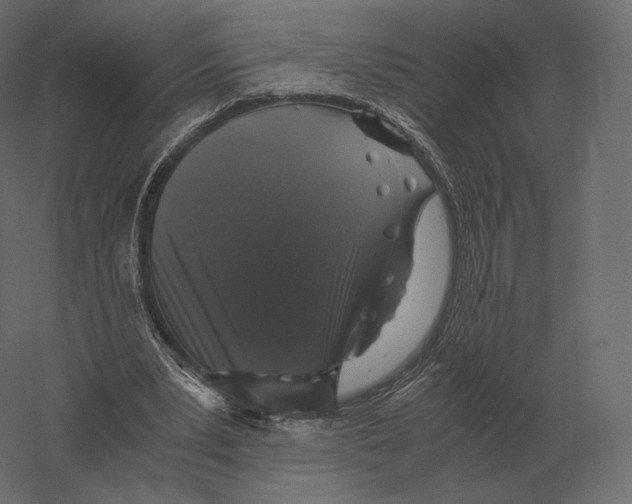 X0000060280391200511241527