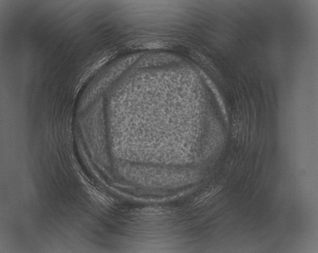 X0000060280394200511241527
