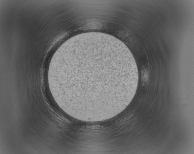 X0000060280396200511241527