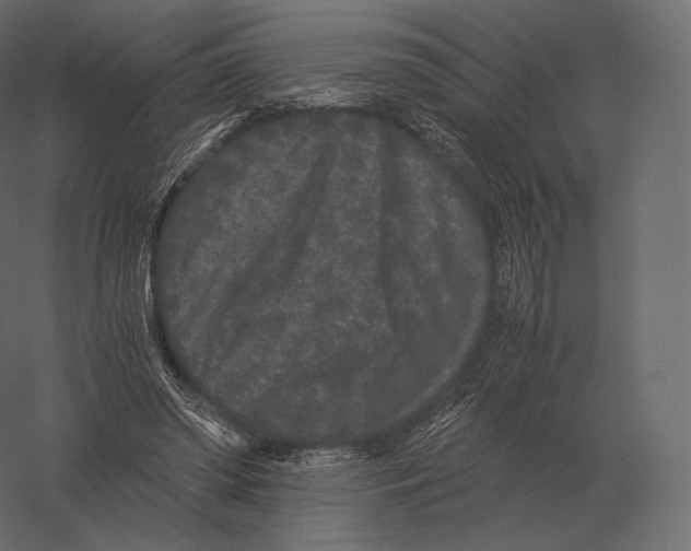 X0000060280398200511241527