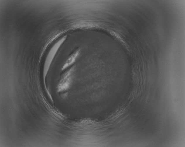 X0000060280399200511241527