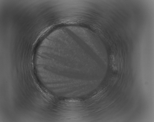 X0000060280400200511241527