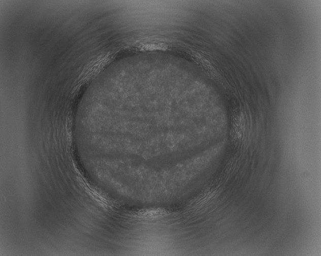 X0000060280402200511241527