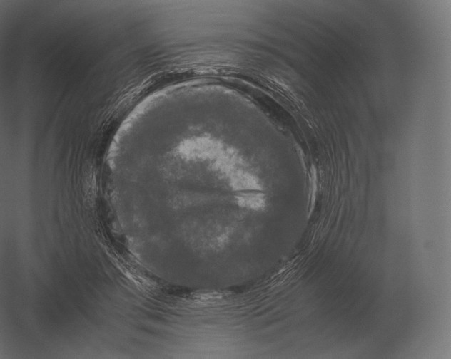 X0000060280405200511241527