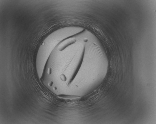X0000060280409200511241527