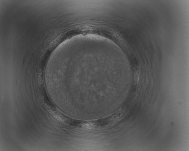 X0000060280411200511241527