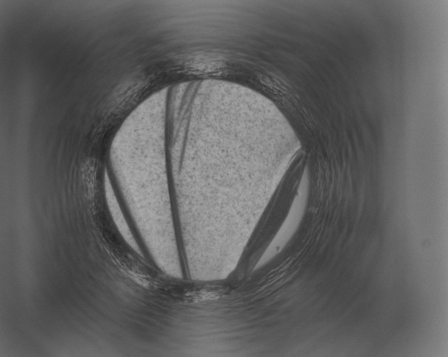 X0000060280412200511241527