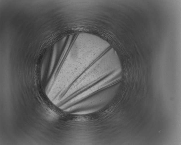 X0000060280416200511241526