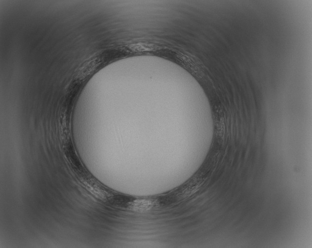 X0000060280418200511241526