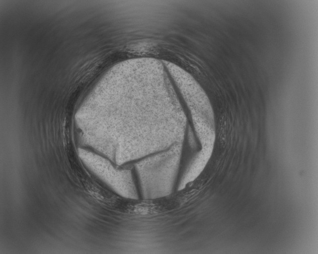 X0000060280420200511241526