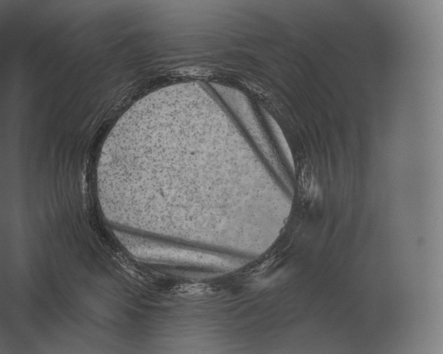 X0000060280424200511241526