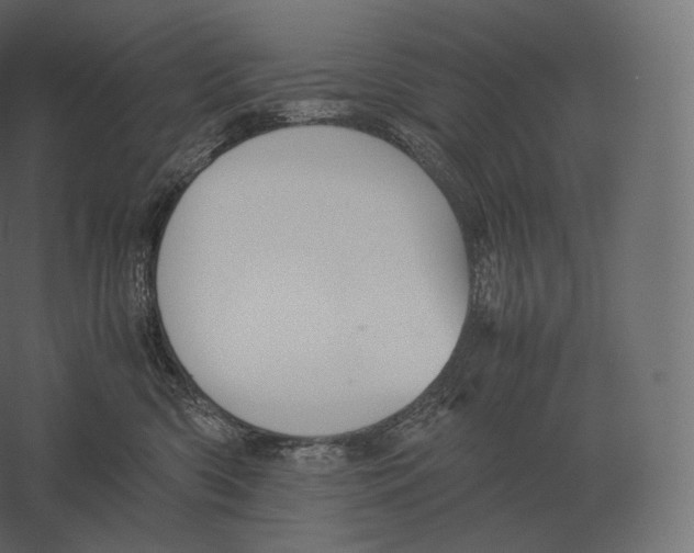 X0000060280426200511241526
