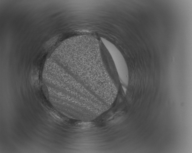 X0000060280428200511241526