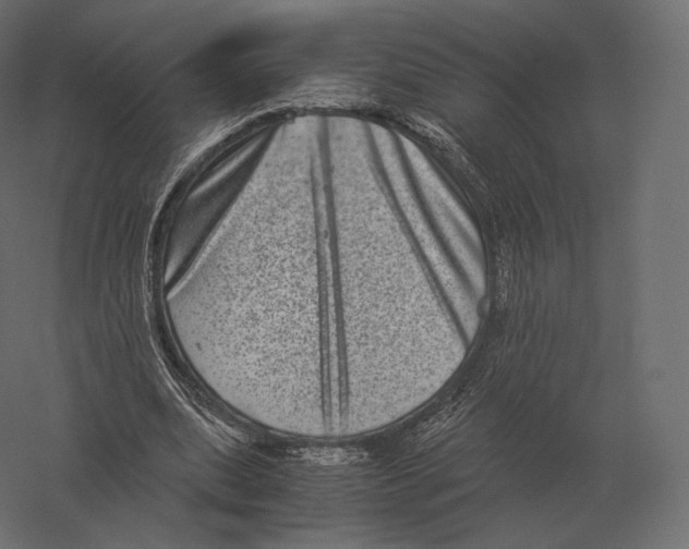 X0000060280439200511241525