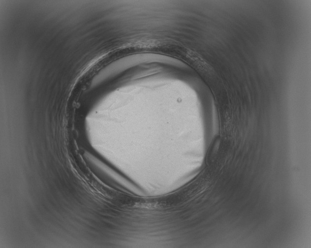 X0000060280440200511241525