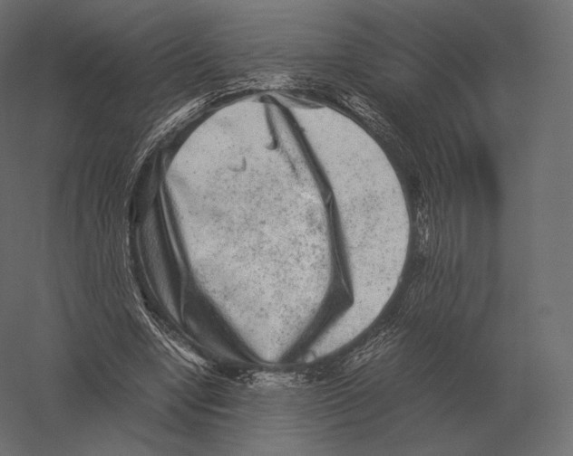 X0000060280442200511241525