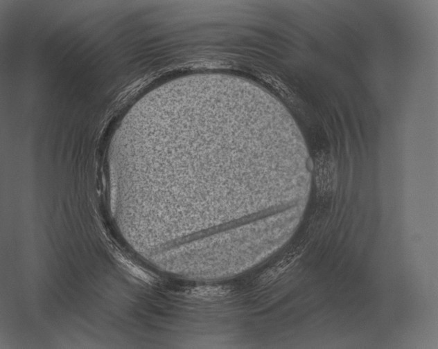 X0000060280445200511241526