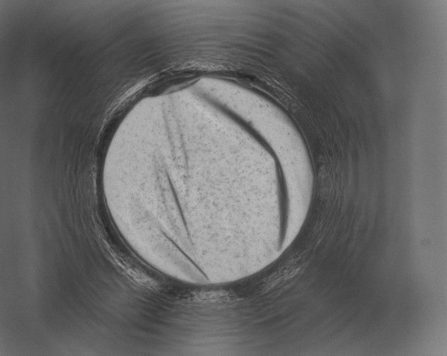 X0000060280446200511241526