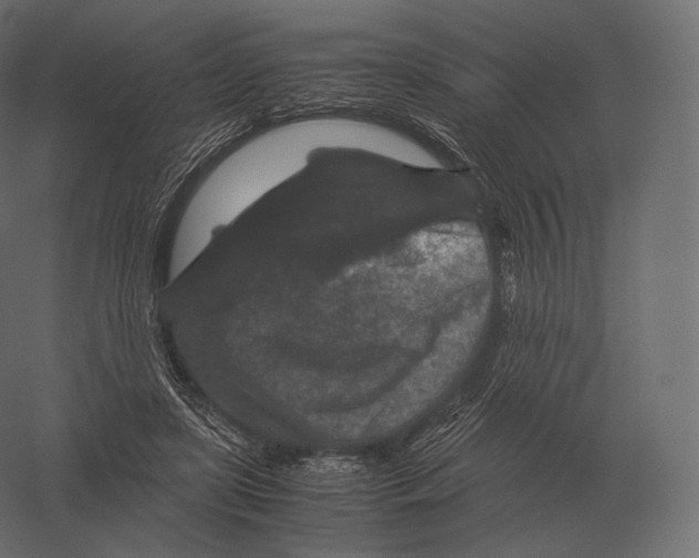X0000060280451200511241526