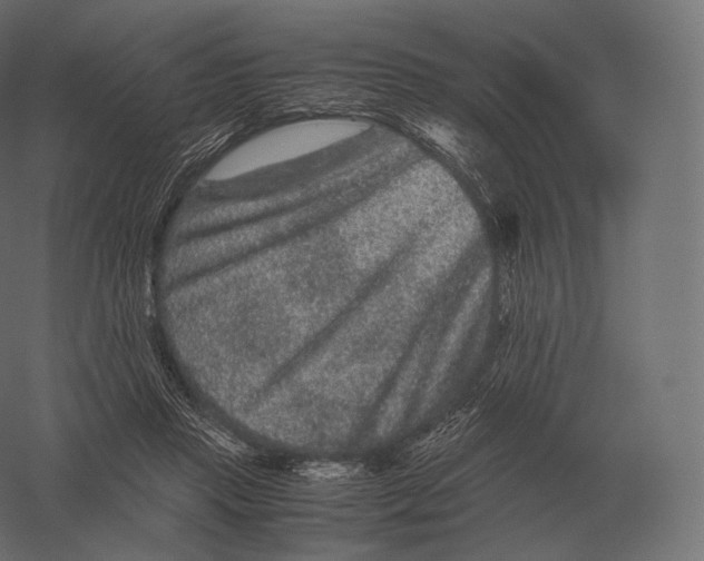 X0000060280453200511241526