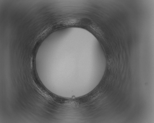 X0000060280454200511241526