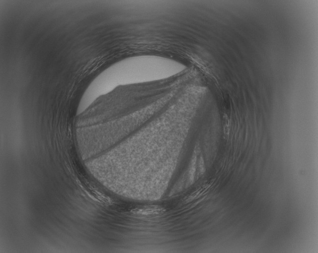 X0000060280459200511241526