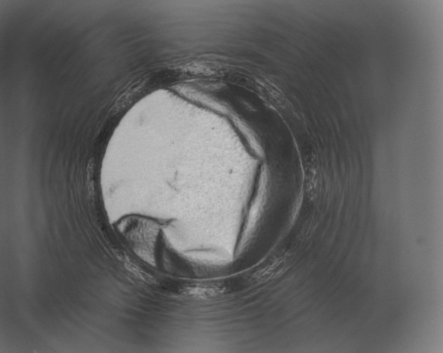 X0000060280466200511241526