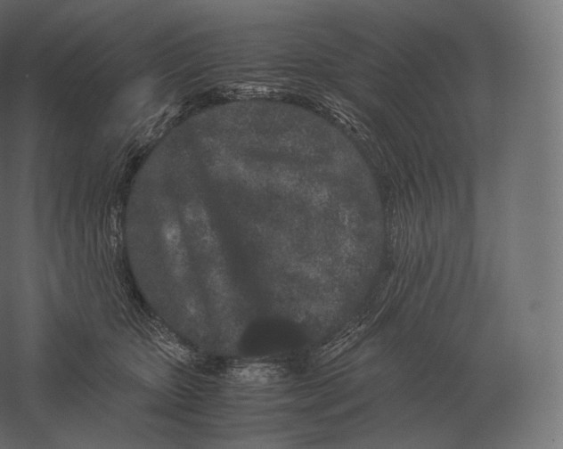X0000060280467200511241526