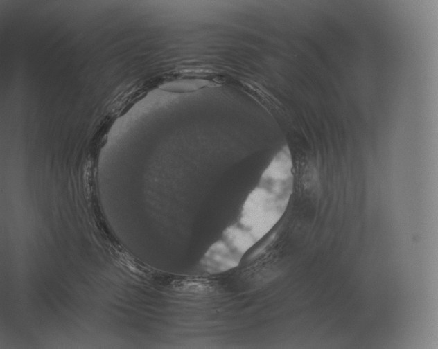 X0000060280475200511241526