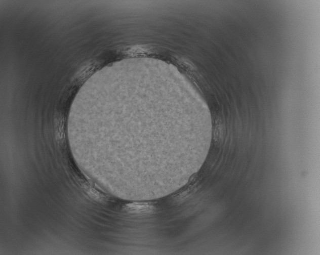 X0000060280477200511241526