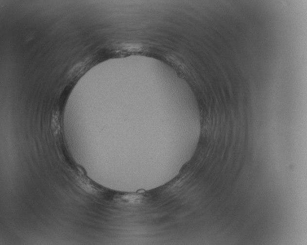 X0000060280478200511241526