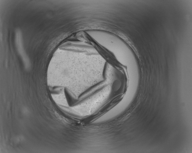 X0000060280481200511241525