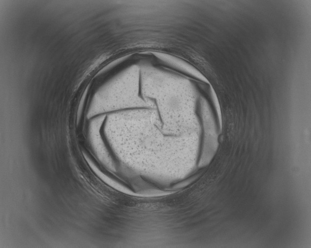 X0000060280482200511241525