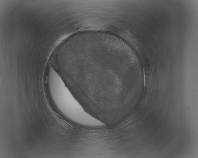 X0000060280483200511241525
