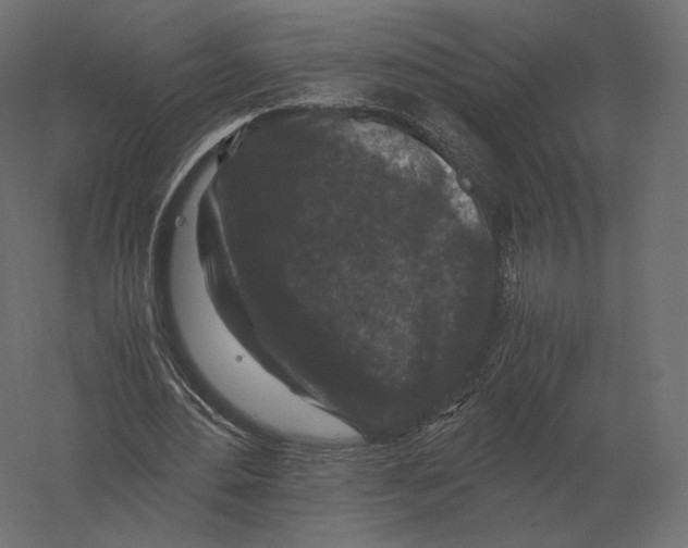 X0000060280484200511241525