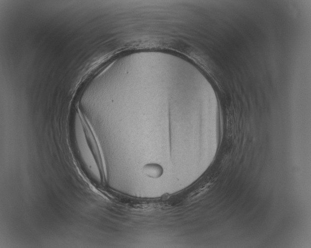 X0000060280485200511241525