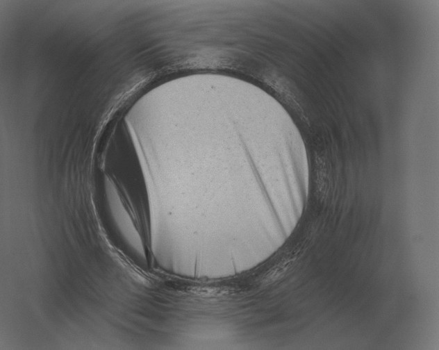 X0000060280486200511241525